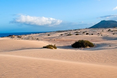 Corralejo 5