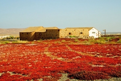Ecomuseo