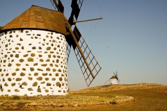 molino 2