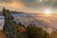 Islas Canarias