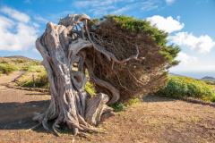 El Hierro