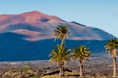 Lanzarote